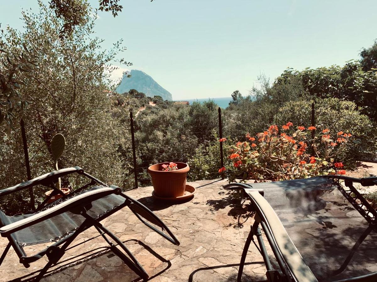 Appartamento Vasiliki Porto San Paolo  Dış mekan fotoğraf