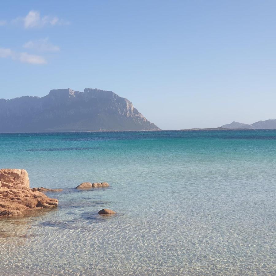 Appartamento Vasiliki Porto San Paolo  Dış mekan fotoğraf