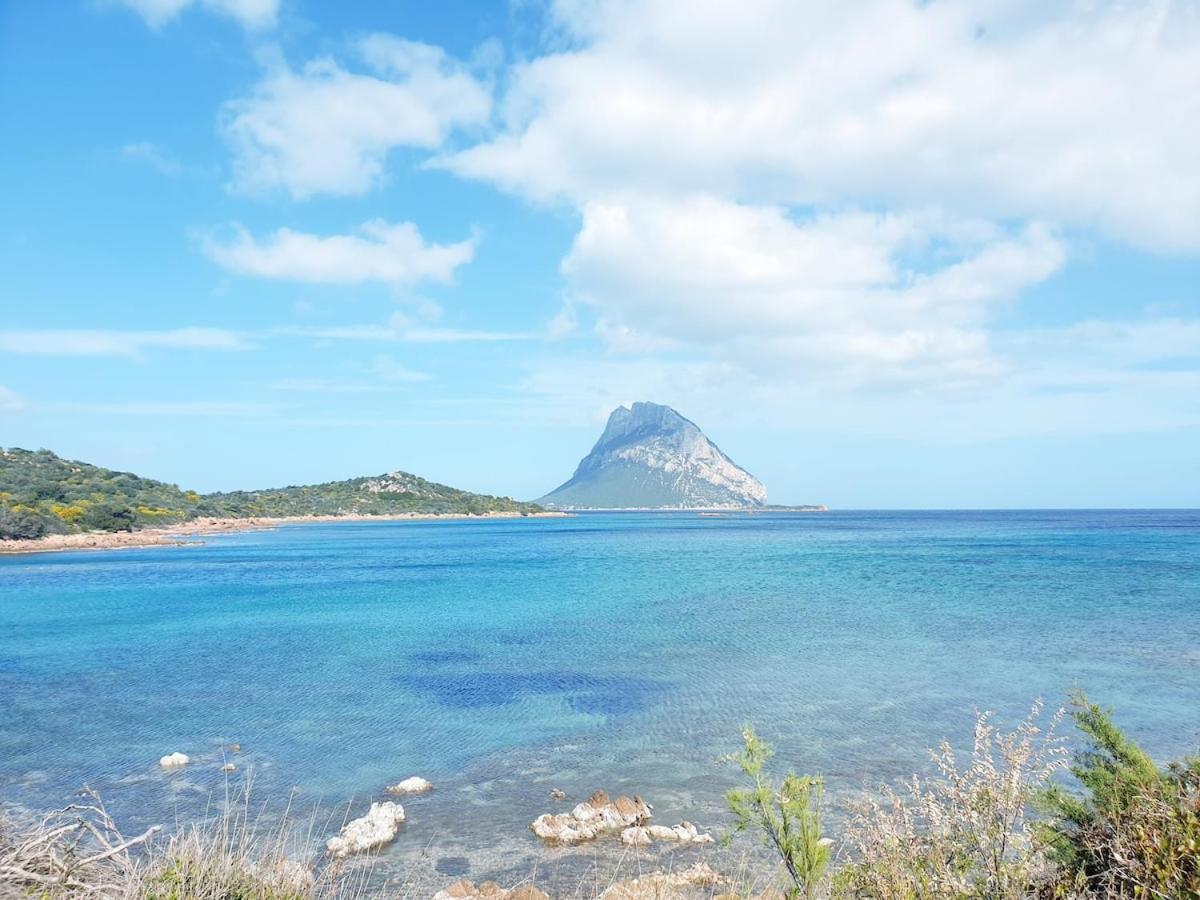 Appartamento Vasiliki Porto San Paolo  Dış mekan fotoğraf