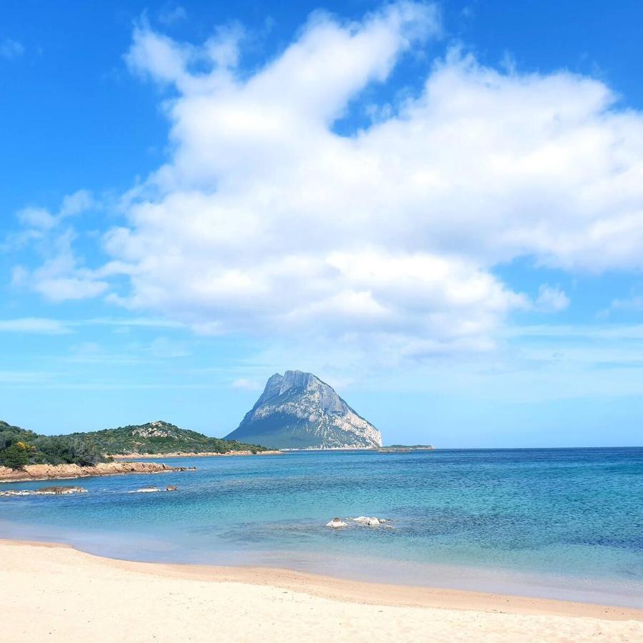 Appartamento Vasiliki Porto San Paolo  Dış mekan fotoğraf
