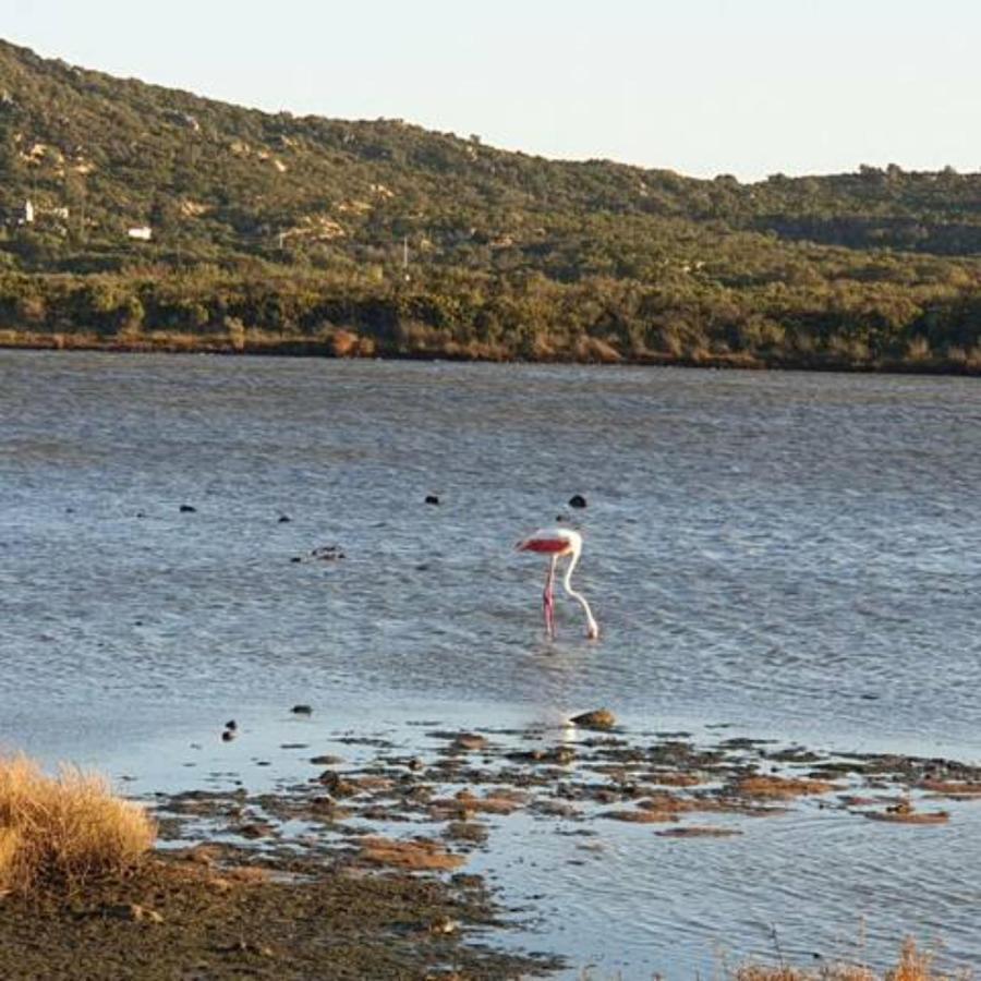 Appartamento Vasiliki Porto San Paolo  Dış mekan fotoğraf