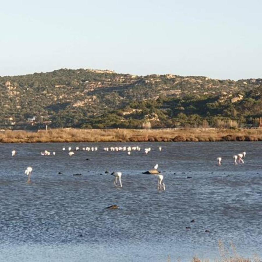Appartamento Vasiliki Porto San Paolo  Dış mekan fotoğraf