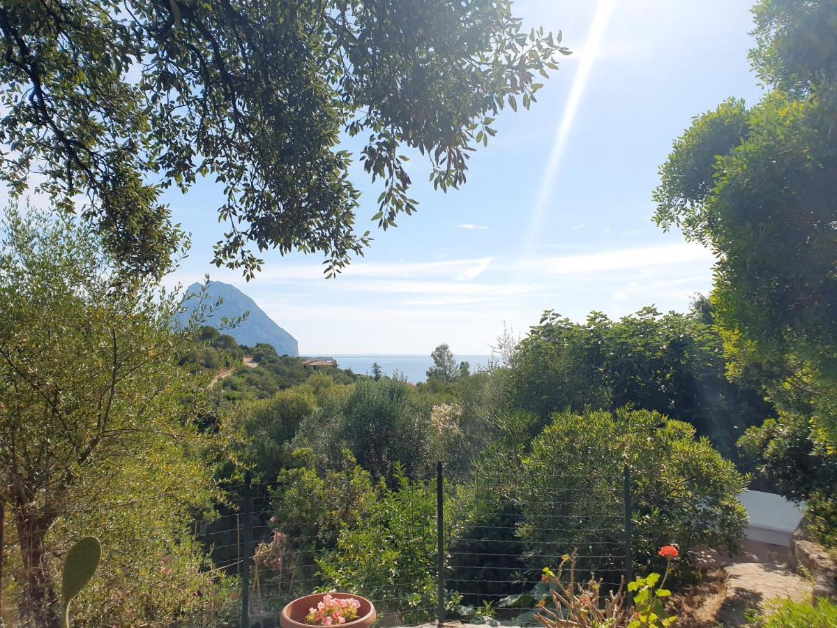 Appartamento Vasiliki Porto San Paolo  Dış mekan fotoğraf
