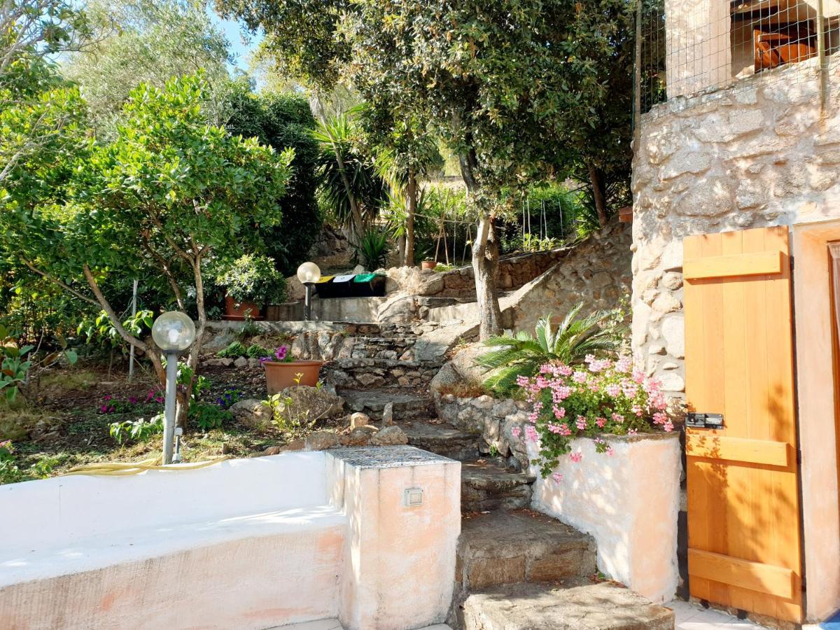 Appartamento Vasiliki Porto San Paolo  Dış mekan fotoğraf