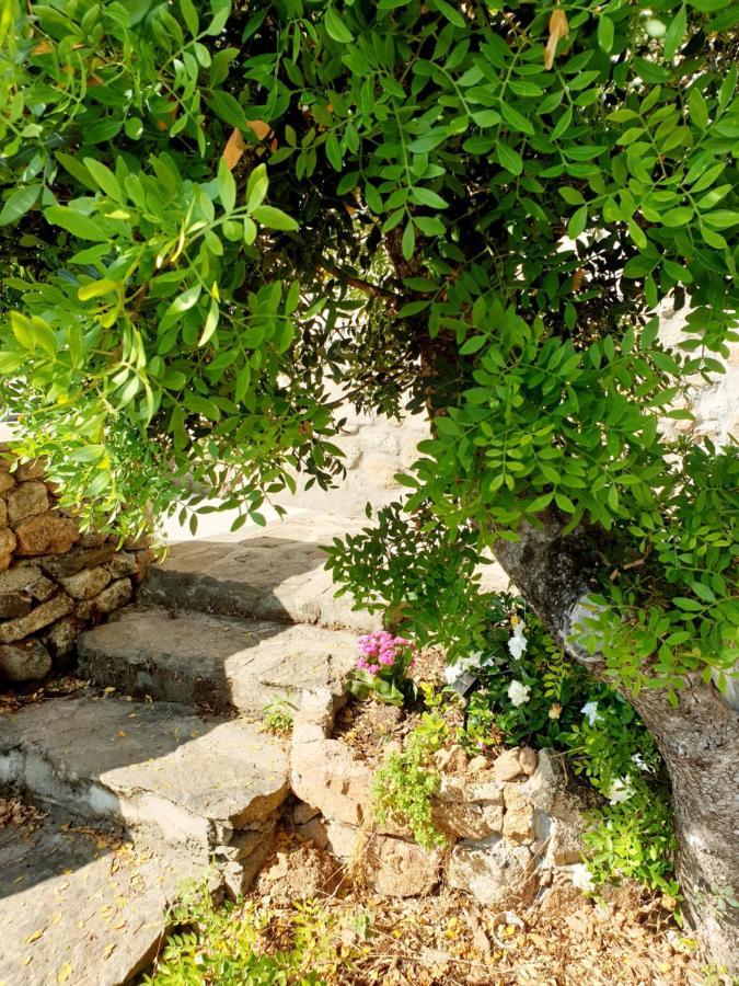 Appartamento Vasiliki Porto San Paolo  Dış mekan fotoğraf